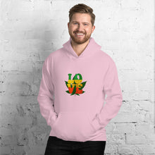 Load image into Gallery viewer, LOVE - Unisex Hoodie
