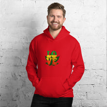 Load image into Gallery viewer, LOVE - Unisex Hoodie